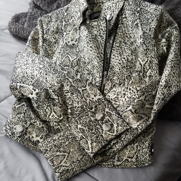 Jacket - Picture 4 of 4